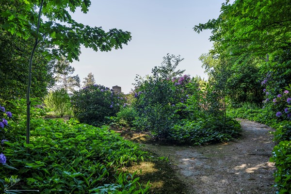 Medium property photo - Beekstraat 28, 5954 AW Beesel